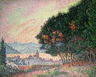 Erdő Saint-Tropez közelében, 1902